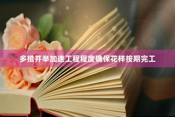 多措并举加速工程程度确保花样按期完工