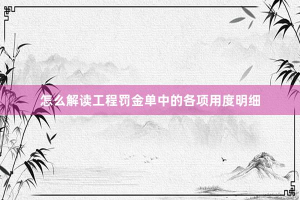 怎么解读工程罚金单中的各项用度明细